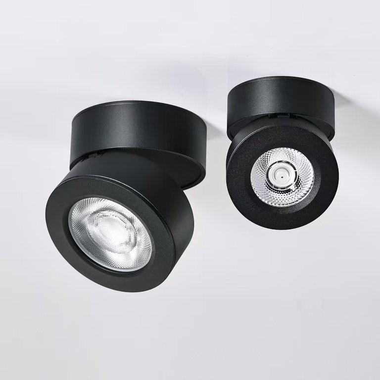 Artful Surface Mounted Spot Light